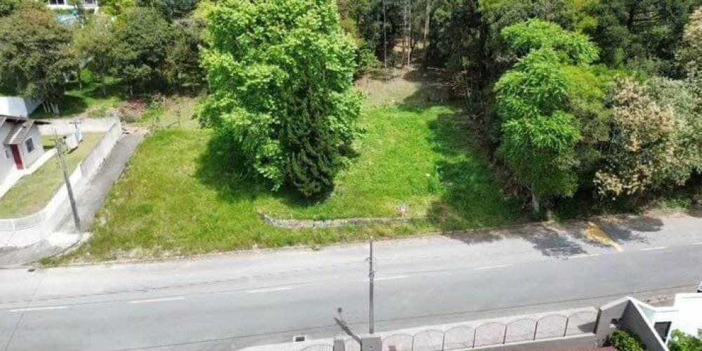 23736b58cd6e2b7846ee08aba3c06e5d_JPG