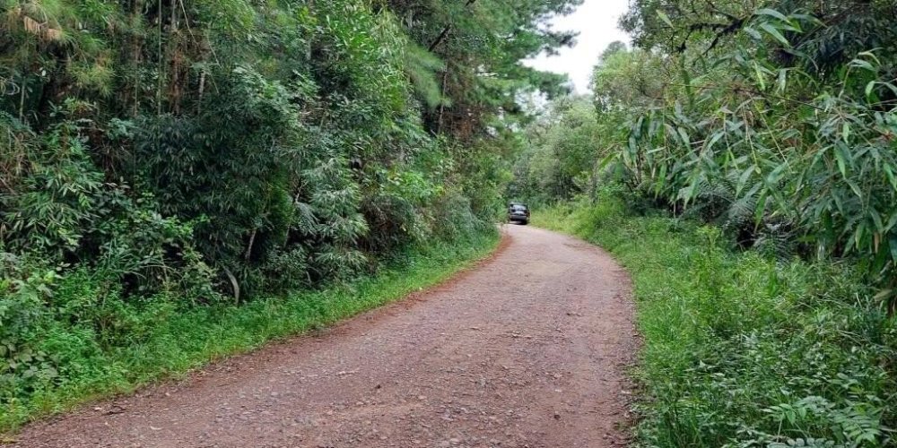 2ea6650bb9e99a826c3cf76214a5fd6f