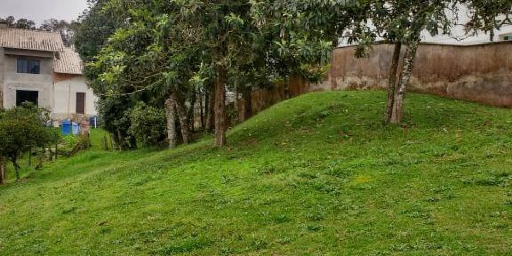 336ab81bc4246a53941087f2c1874f95