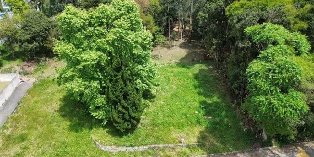 3fcb3b58fe0f689182351a6516ce416a_JPG