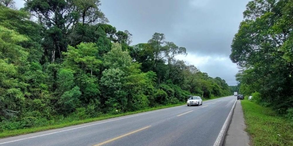 4071af5c9cee4211115cb62c11129233