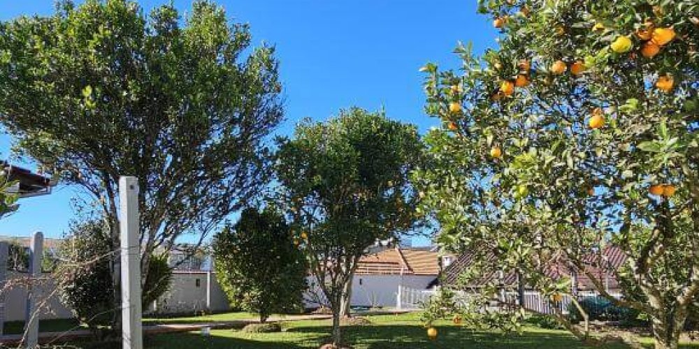 77d641b4f418567f080249a783cc40cd