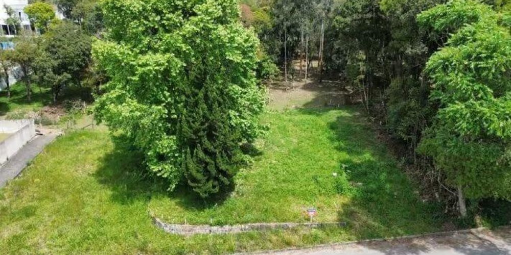 96e38881c6382b6120e4ec4477583026_JPG