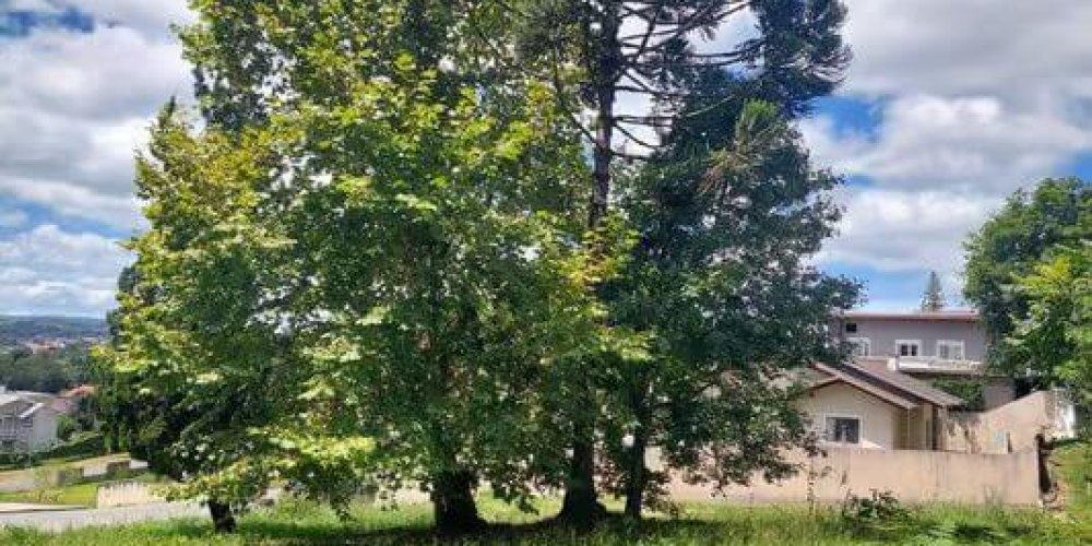 988257236026c9ee45025dbf09c97363_JPG