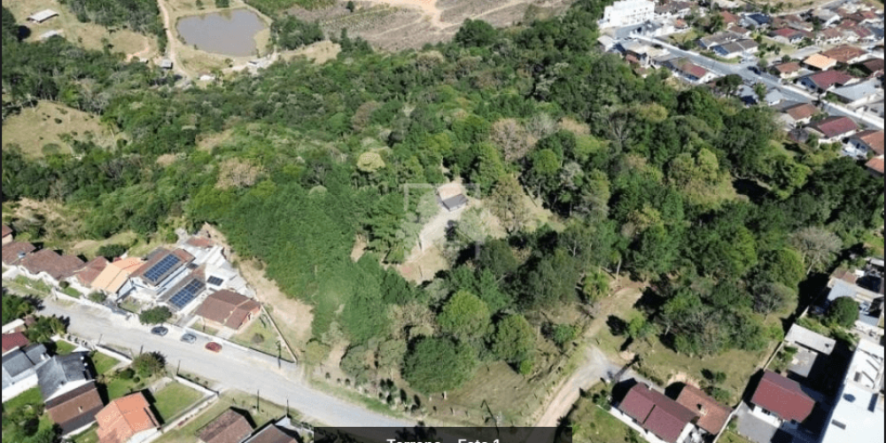 Captura de tela 2025-09-03 154442