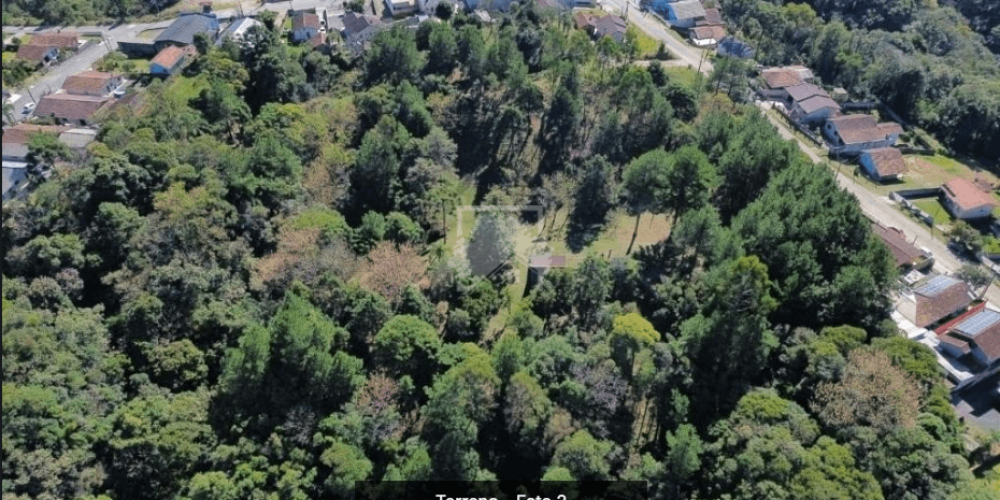 Captura de tela 2025-09-03 154458