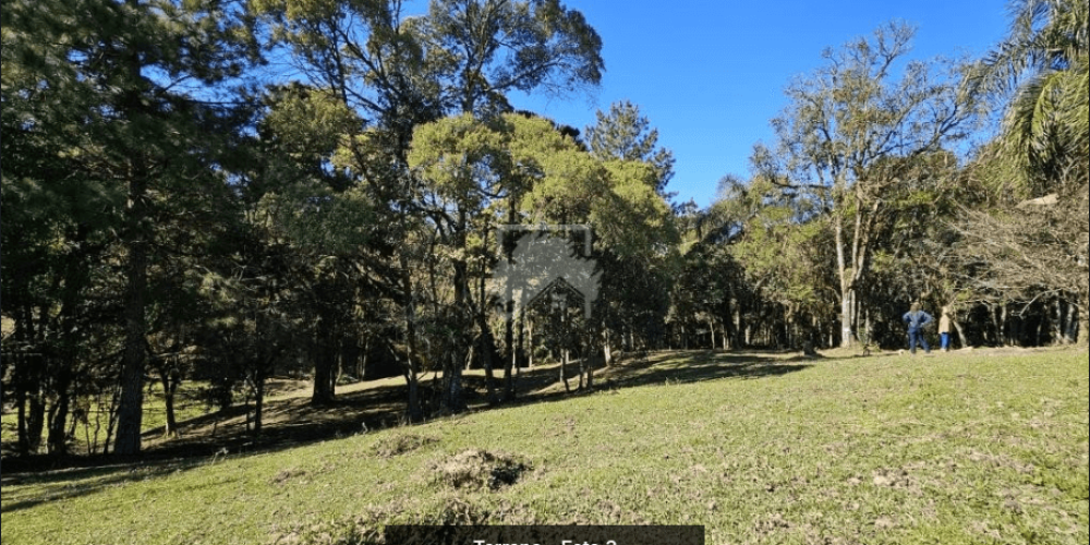 Captura de tela 2025-09-03 154510