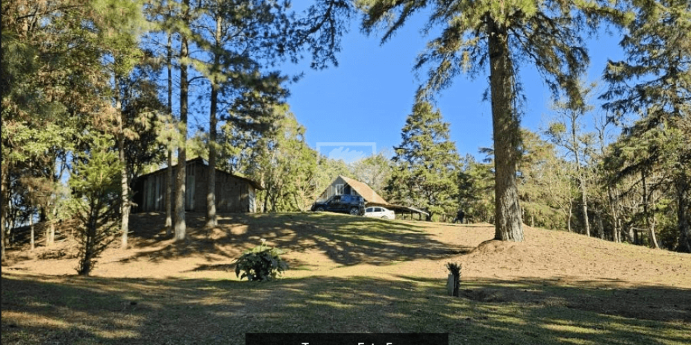 Captura de tela 2025-09-03 154536