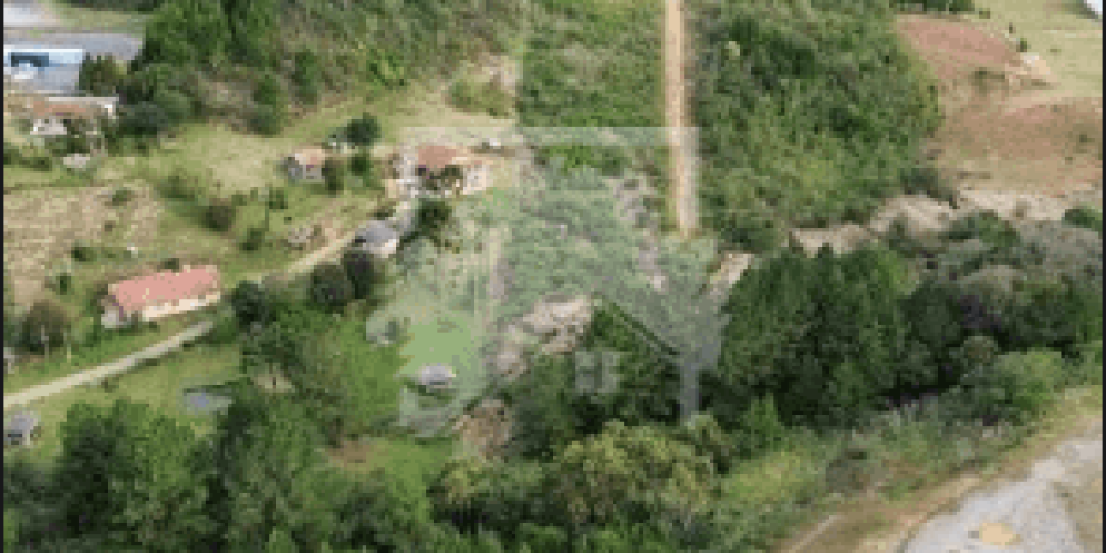 Captura de tela 2025-09-24 164457