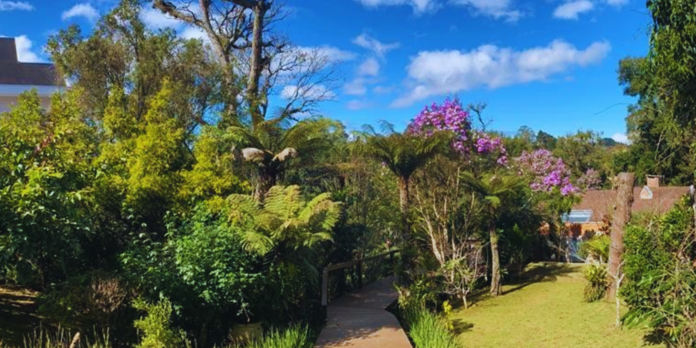 Imoveis em sao bento do sul. Imóvel com 3 quartos e com 5 banheiros. Possui um amplo terreno junto com conforto e segurança