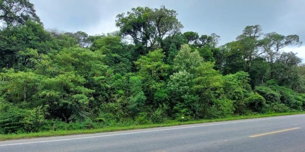 af26f872ddcd03818a767aee8276e2df