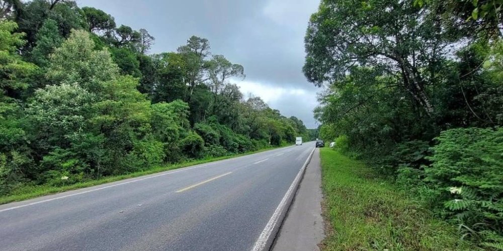 cd904f32d3ecd5393343f23077cb124c