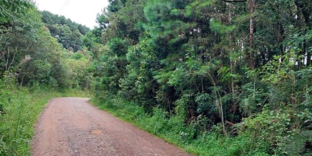 ebbd99beefd288bd1384f008575f1cdc